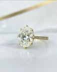 Victoria Solitaire
